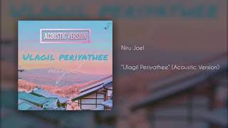 Niru Joel  Ulagil Periyathee（Acoustic [upl. by Solrac494]