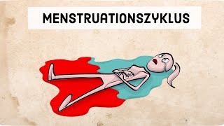 Der Menstruationszyklus [upl. by Ayamahs]