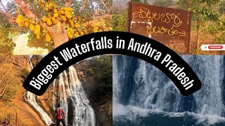 Tarabu Waterfalls  GunjivadaPittalaborra tarabuwaterfalls waterfall araku vizag nature viral [upl. by Valene]