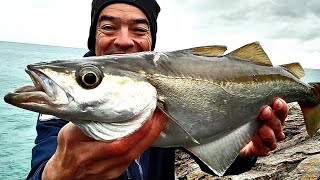 Pêche du bord au METAL JIG en mer [upl. by Ateloj]