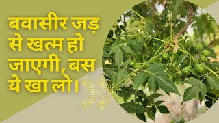 बवासीर को जड़ से कैसे खत्म करे। bawasir me kya khaye kya na khaye। piles treatment। piles [upl. by Ahsain]