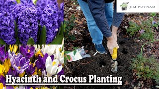 Hyacinth and Crocus Planting [upl. by Vil]