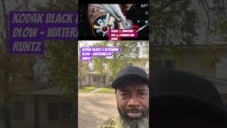 Kodak Black amp Bossman Dlow  WatermelonRuntz [upl. by Hesky]