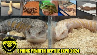 Spring Penrith Reptile Expo 2024 [upl. by Ogires]