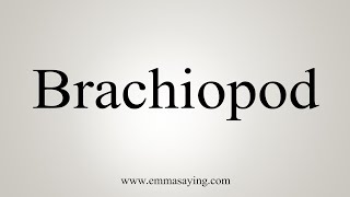 How To Say Brachiopod [upl. by Solegnave]