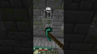 Wildest Seed vs Troll Face Reaction meme minecraft shorts [upl. by Teeniv]