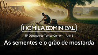 As sementes e o grão de mostarda Homilia do 11º Domingo do Tempo Comum Pe Fábio IVE Ano B [upl. by Mora993]