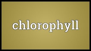 Chlorophyll Meaning [upl. by Nwahsav762]