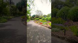 footscray campusvictoria university park youtubeshortsvideo sunny beautiful [upl. by Estes265]