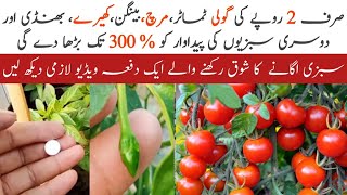 A Tablet of Rs2 will increase the production upto 300 of TomatoesPeppers and other vegetables [upl. by Grunberg]