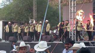 Laurita Garza  Banda Corona del Rey [upl. by Anehs419]