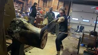 Sam graves singlebucking like a boss Professional lumberjill Timbersports Mark BouquinLumberjack [upl. by Darooge]