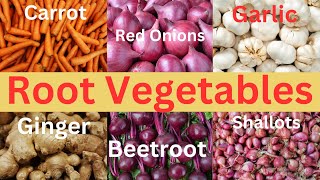 Root Vegetables 101  Root Vegetable Names  List of Root Vegetables [upl. by Cassaundra]