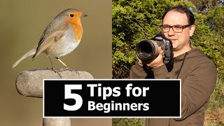 Wildlife Photography for BEGINNERS 5 TIPS with Paul Miguel Photography [upl. by Zosima480]