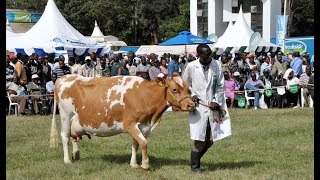 Nairobi International Agriculture Show – Part 1 [upl. by Ydnir]