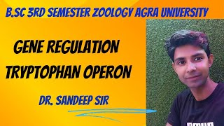 Tryptophan Operon  Bsc 3rd sem zoology Regulation of gene expression in prokaryotes [upl. by Ande79]