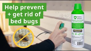 How to Prevent and Treat Bed Bugs with Permethrin Spray [upl. by Epuladaug]