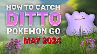 Ditto disguises for May 2024 in Pokémon GO [upl. by Mischa]