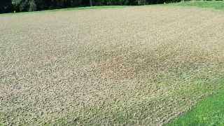 Golf Course greens aeration  discovering black layer [upl. by Ylevol]