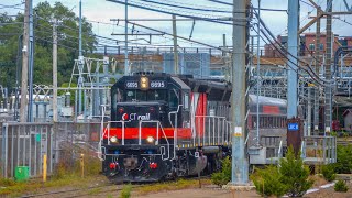 New Haven Line Afternoon Amtrak amp CTrail Trains  New Haven CT [upl. by Ahsak]