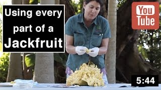 Jackfruit Tree  Using Every Part of the Fruit [upl. by Isied]