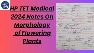 HP TET Medical  Morphology of Flowering Plant Notes 2024  Ncert Class 1 notes [upl. by Ahsitil]