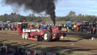 Part 36 Laholm 2015 Farmstock 45t  Red Baron  Heavy Metal  Blue Wiking [upl. by Fernandez873]