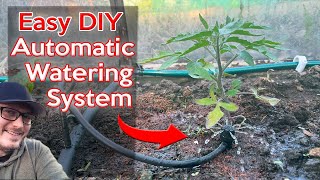 DIY Garden Watering Irrigation System  Simple and Affordable Automatic Watering Solution [upl. by Anemolif]