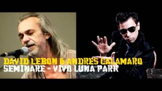 David Lebon amp Andres Calamaro  Seminare Vivo Luna Park [upl. by Adal]