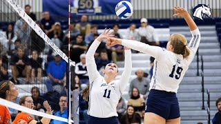 2024 Hillsdale College Volleyball Season Preview [upl. by Bradleigh149]