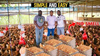 How To Start a Successful Poultry Farm as a BEGINNER in Ghana poultry poultryfarm poultryfarming [upl. by Luz]