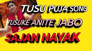 TUSU KE ANITE JABO TUSU SONG টুচু গীত by Sajan Nayak [upl. by Persian]