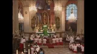 Parisians Enjoy Simple Majesty of Tridentine Latin Mass [upl. by Ttoile973]