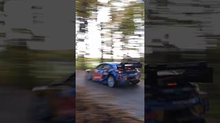 Ott Tanak  Central European Rally 2023 rally wrc ford shorts [upl. by Choong717]