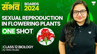 SEXUAL REPRODUCTION IN FLOWERING PLANTS  NCERT Solutions  BOTANY Chapter 01  Class 12th Boards [upl. by Taveda593]