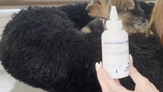 Demo amp Honest Review of TrizUltra  Keto Flush For Dogs [upl. by Litt950]