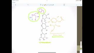 Glycolipids [upl. by Hal]