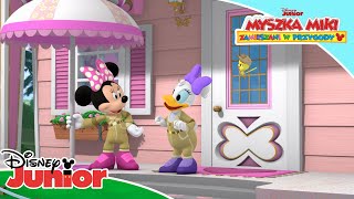 Mały słodki domek 🏠⛱  Myszka Miki Zamieszani w przygody  Disney Junior Polska [upl. by Hamirak]