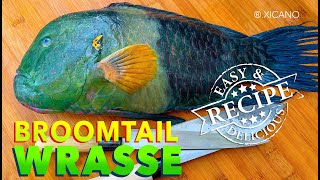 Broomtail Wrasse  Clean Fillet amp Cook [upl. by Assilev]