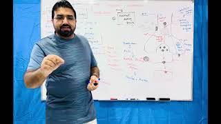 Cholinergic Agonist and Antagonist  part 2 [upl. by Raynard135]