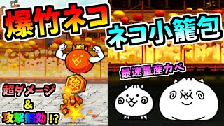 【春節イベントガチャ限定】 爆竹ネコ amp ネコ小籠包 性能紹介 【にゃんこ大戦争】 [upl. by Nylteak405]