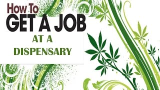 How To Get A Job At A Dispensary  UNTOLD SECRETS [upl. by Eirdua432]