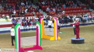 Superdogs at the 2009 Royal Manitoba Winter Fair [upl. by Ferdinana]