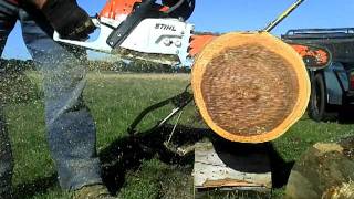 Stihl MS261 Muff Modd [upl. by Alenson553]