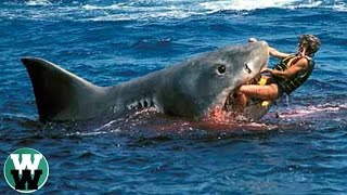 10 DEADLIEST Shark Attack Stories [upl. by Deyas]