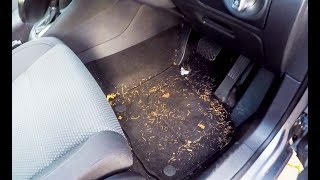 Cleaning a really dirty Volkswagen Golf [upl. by Emlen]