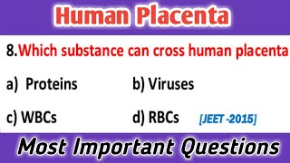 Human Placenta  embryology  developmental biology  general embryology mcq [upl. by Macdonell]