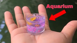 WORLDS SMALLEST Fish AQUARIUM [upl. by Aiem114]