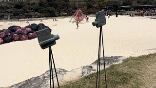 Sculptures by the Sea 2024 A mix of big and small shorts sculpture SBTS2024 Sydney [upl. by Kravits]