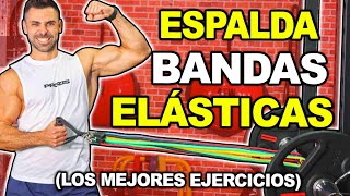 🔴 Los MEJORES Ejercicios BANDAS ELASTICAS  Fortalecer ESPALDA [upl. by Aenil]